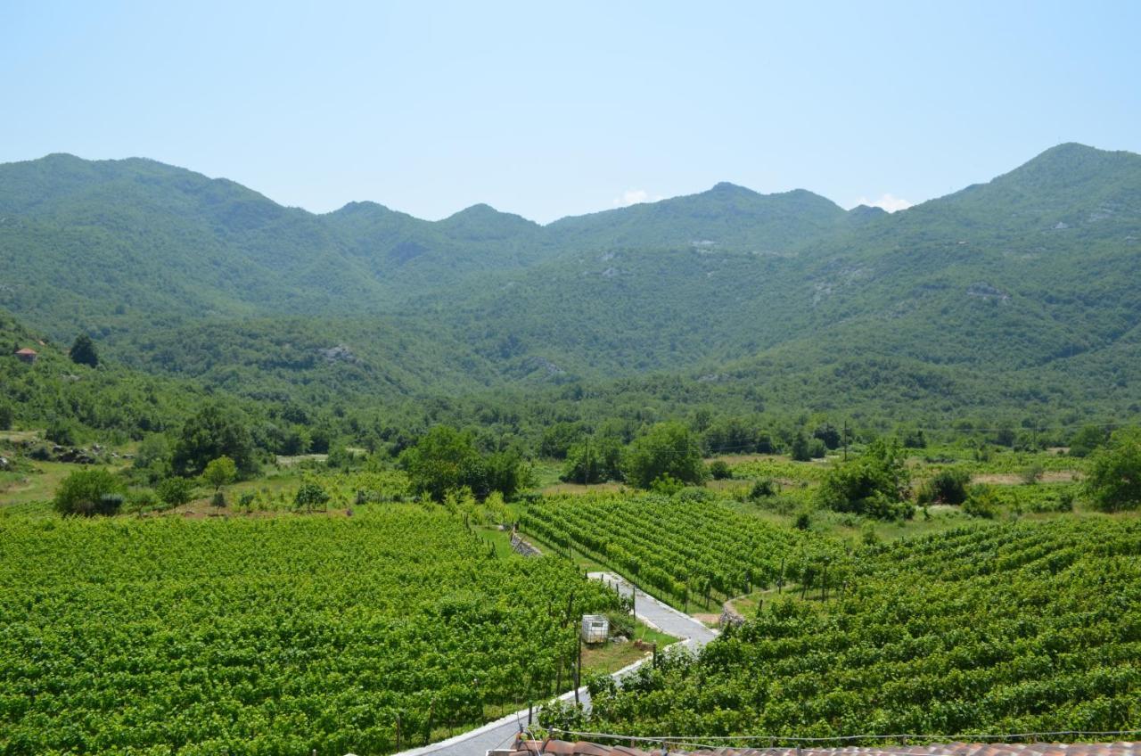 Markovic Winery And Estate Apartments Cetinje Exterior photo
